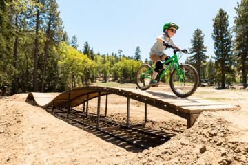 best 16-inch bike